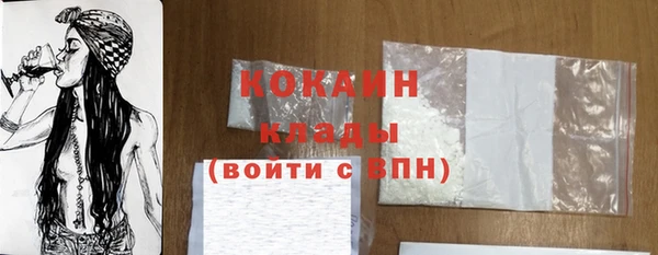 индика Новодвинск