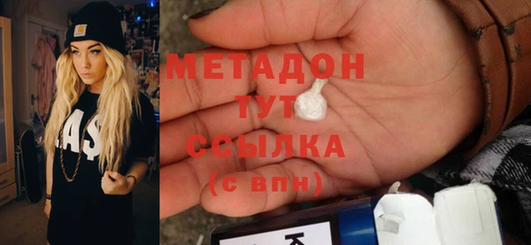 индика Новодвинск