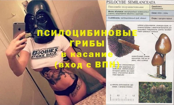 spice Алзамай