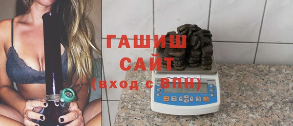 индика Новодвинск