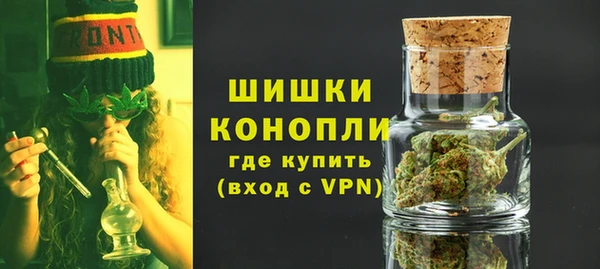 крисы Абаза